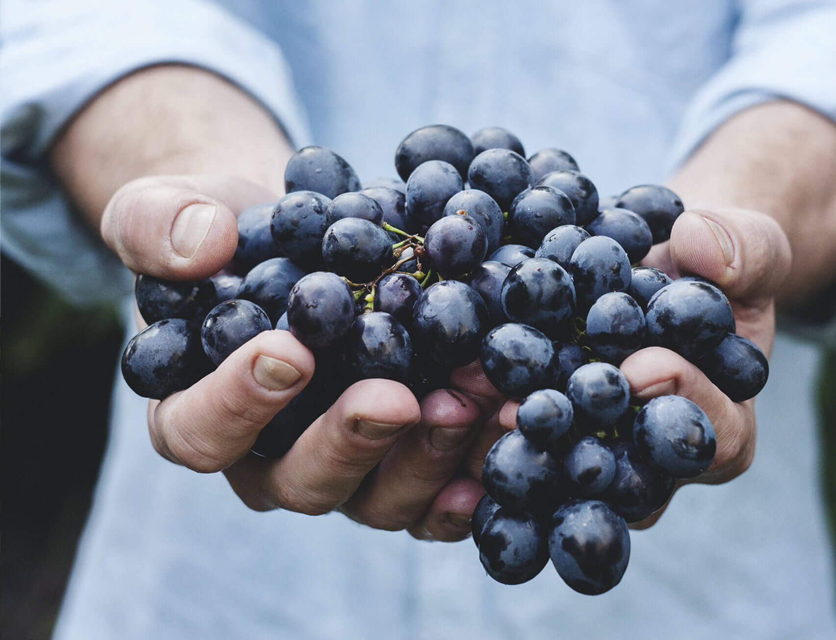 Red Grapes Tesimonial