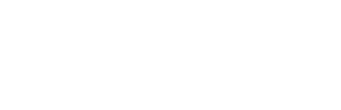 Wyld 19+ Web Store Package